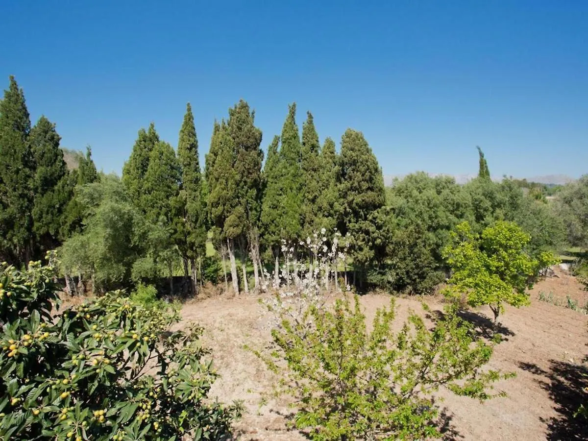Villa Cifre Alcudia